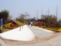 深圳園--第七屆中國（青州）花博會國內(nèi)展園