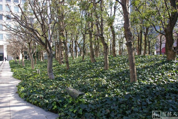 IBM大樓花園環(huán)境