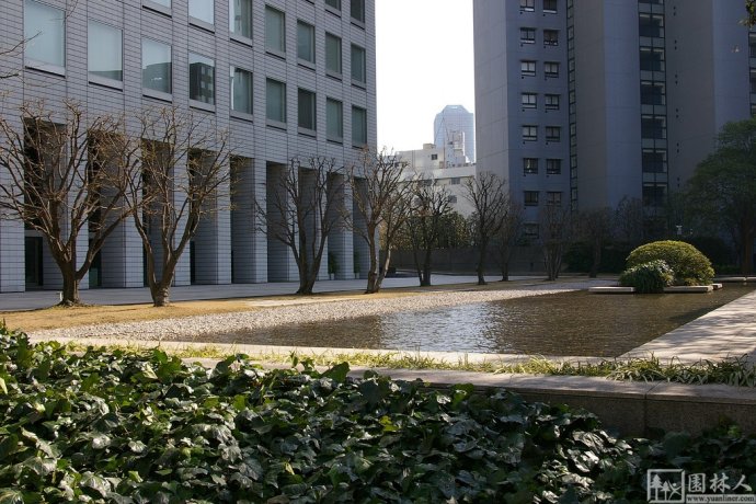 IBM大樓花園環(huán)境