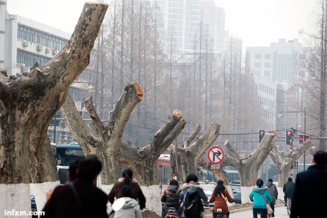 城市規(guī)劃 城市設計 城市降溫設計 熱島效應
