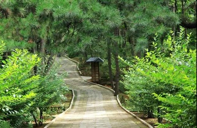 九月到溫江，與園林50強(qiáng)來(lái)一場(chǎng)火花四濺的碰撞