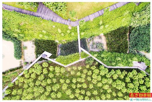 “一場城市建設理念的革命”：至少15城試水“公園城市”