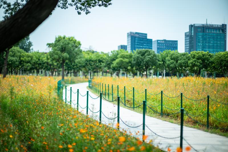 當(dāng)城市公園成為社區(qū)“后花園”