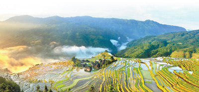 農業(yè)文化遺產——為保護生物多樣性貢獻中國智慧