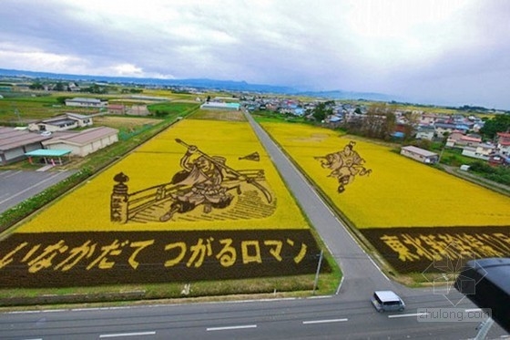 日本田舍館村村民設(shè)計(jì)的巨型稻田插畫(huà)藝術(shù)