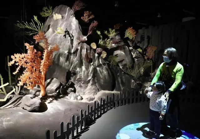 上海辦深海園林展 用中國(guó)園林意境講述深海奧秘