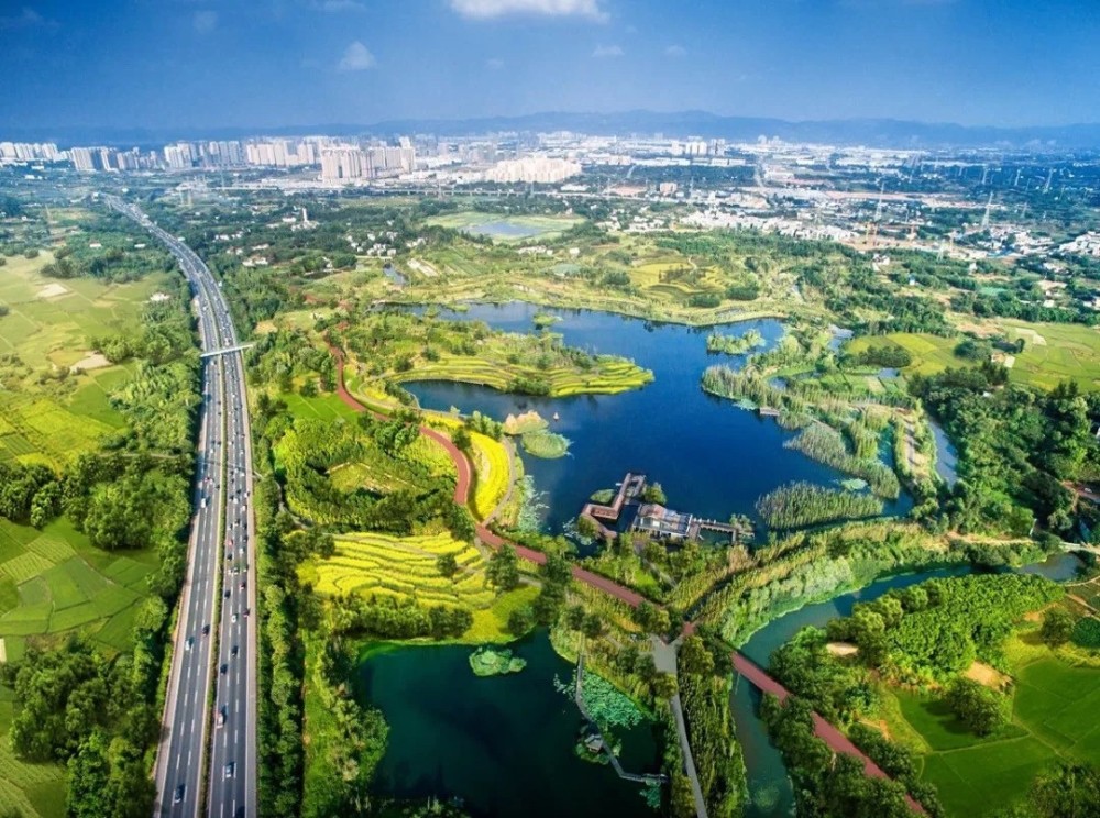 專家：公園城市是一棵“設(shè)計(jì)之樹(shù)”