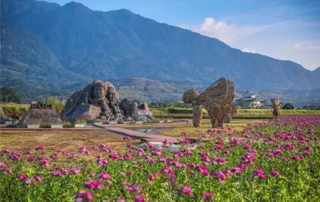 生態(tài)景觀案例——臺東花海
