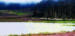 2016園冶杯專業(yè)獎(jiǎng)參賽項(xiàng)目: 懷遠(yuǎn)縣S307道路園林景觀工程設(shè)計(jì)