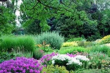 花園種植設(shè)計(jì)：花園里種出來的“音樂”