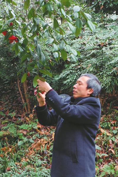 從農(nóng)民到植物專(zhuān)家 峨眉山有個(gè)植物“活地圖”