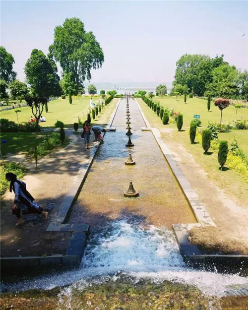 世界上這些驚為天人的植物園你都知道嗎？