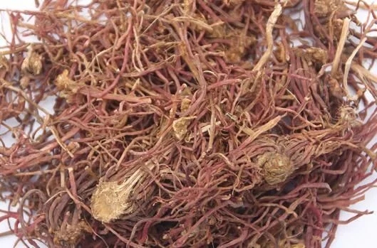 菊科植物紫菀還是著名的中藥材！