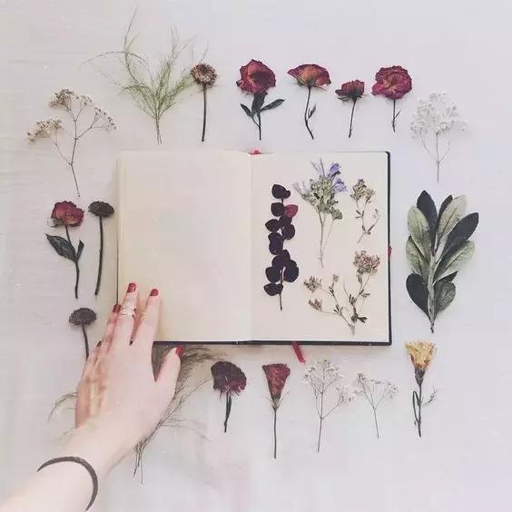 干花蠟燭、花藝書(shū)簽制作步驟