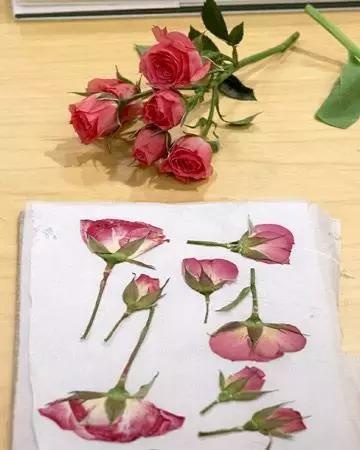 干花蠟燭、花藝書(shū)簽制作步驟
