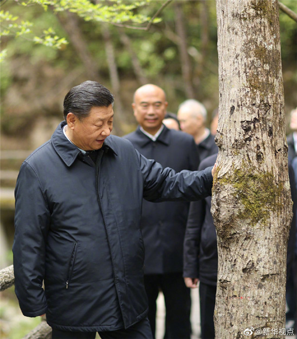 習(xí)近平：要做守護秦嶺生態(tài)的衛(wèi)士