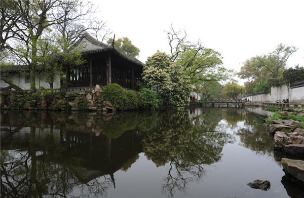 張曉鳴：審美引導(dǎo)也是園林人的使命
