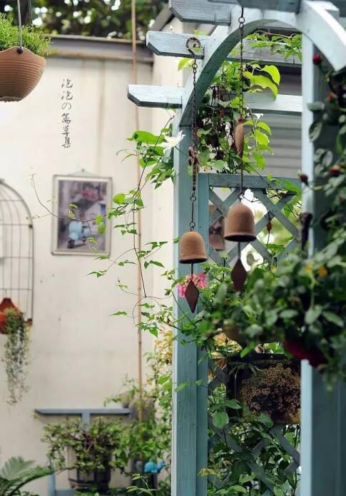 園藝：院子里夢(mèng)境般的花果藤架